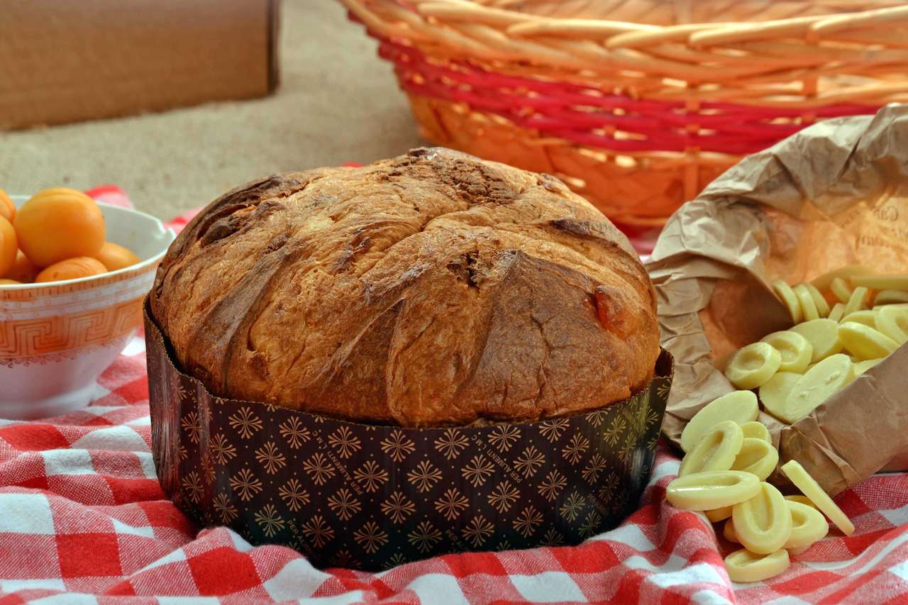 Panettone Cioccolato Bianco